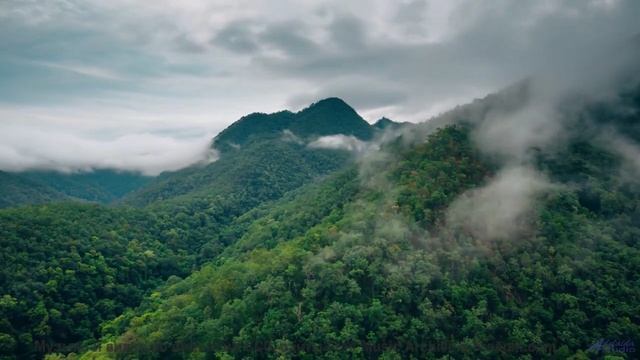 Эта мелодия программирует ваше подсознание - осторожно! - Beach Ballin -- Mr.ruiZ -- Winter Haze, Su
