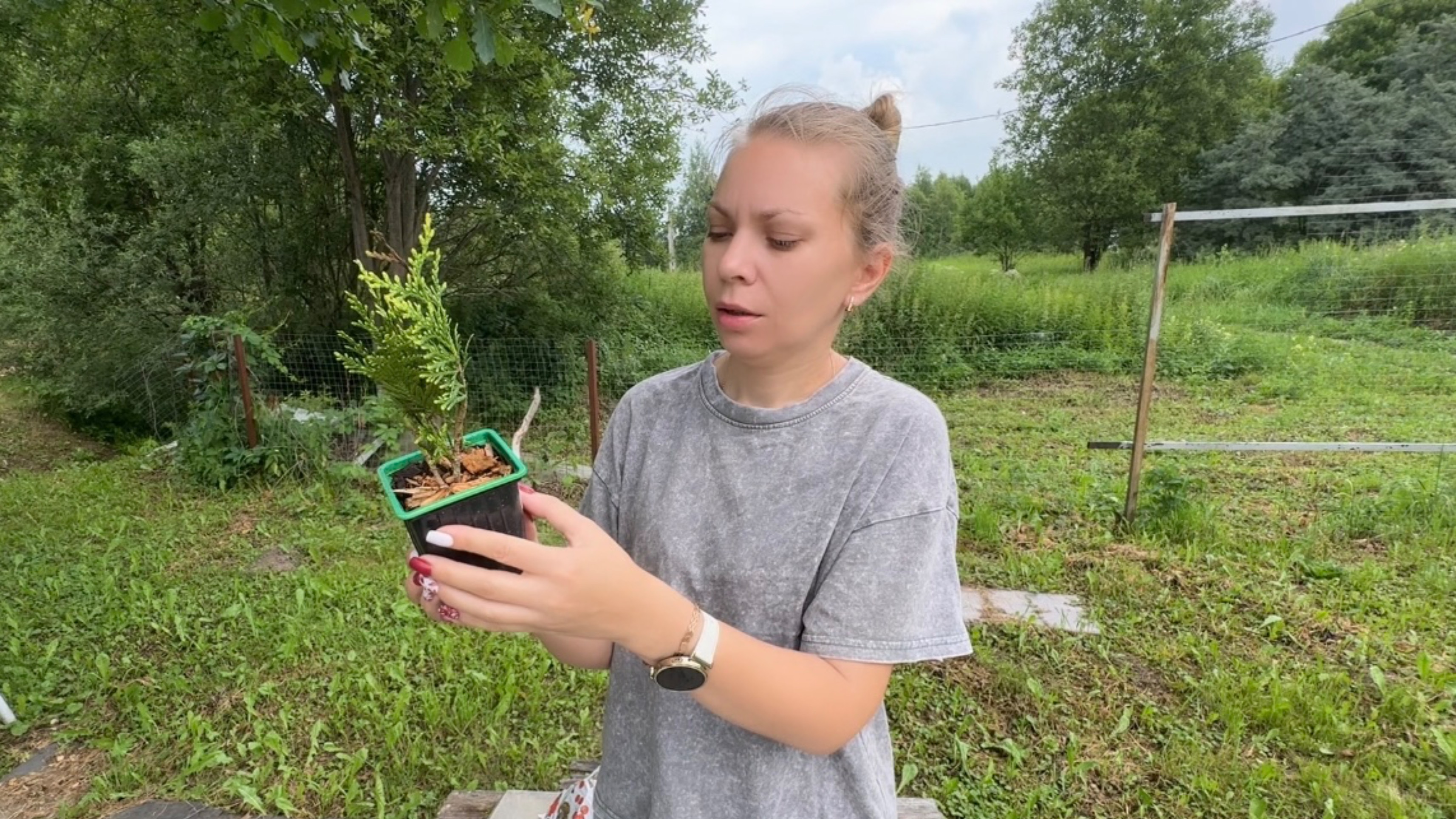 ДАЧА 14.07.25 ПОСАДИЛИ НОВУЮ ТУЮ