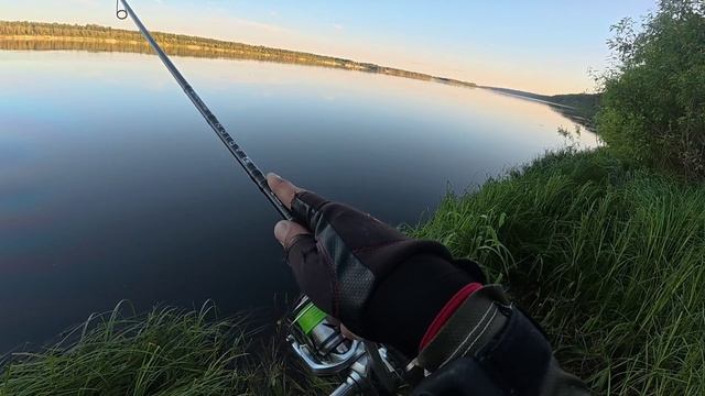 Поклёвка "отдай спиннинг" 🎣