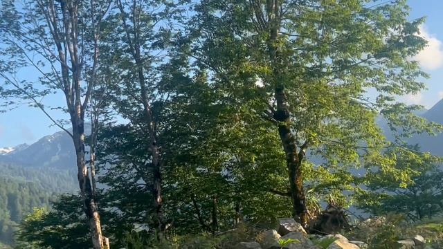 Поездка на машине в горы на высоту 2100! Страшно и красиво! Гомис Мта.