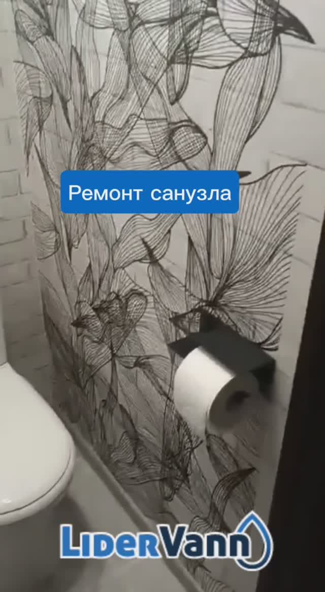 Ремонт санузла