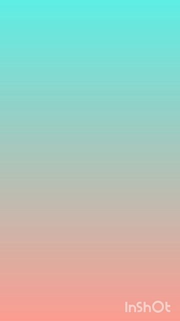 InShot_20241228_144707980.mp4