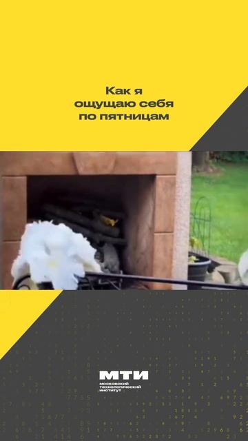 А у вас какое настроение сегодня?