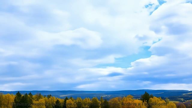 Ты почувствуешь, как каждое дерево, каждая трава начинает петь под этот трек - Thought Bubbles -- Po