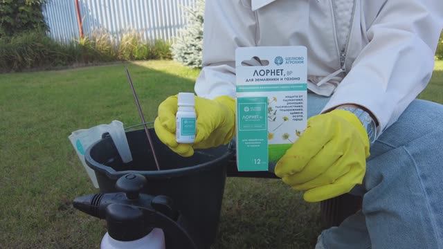 Чистый газон без одуванчиков