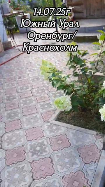 🌼 Гортензии,Лилии любимые цветы 💐
