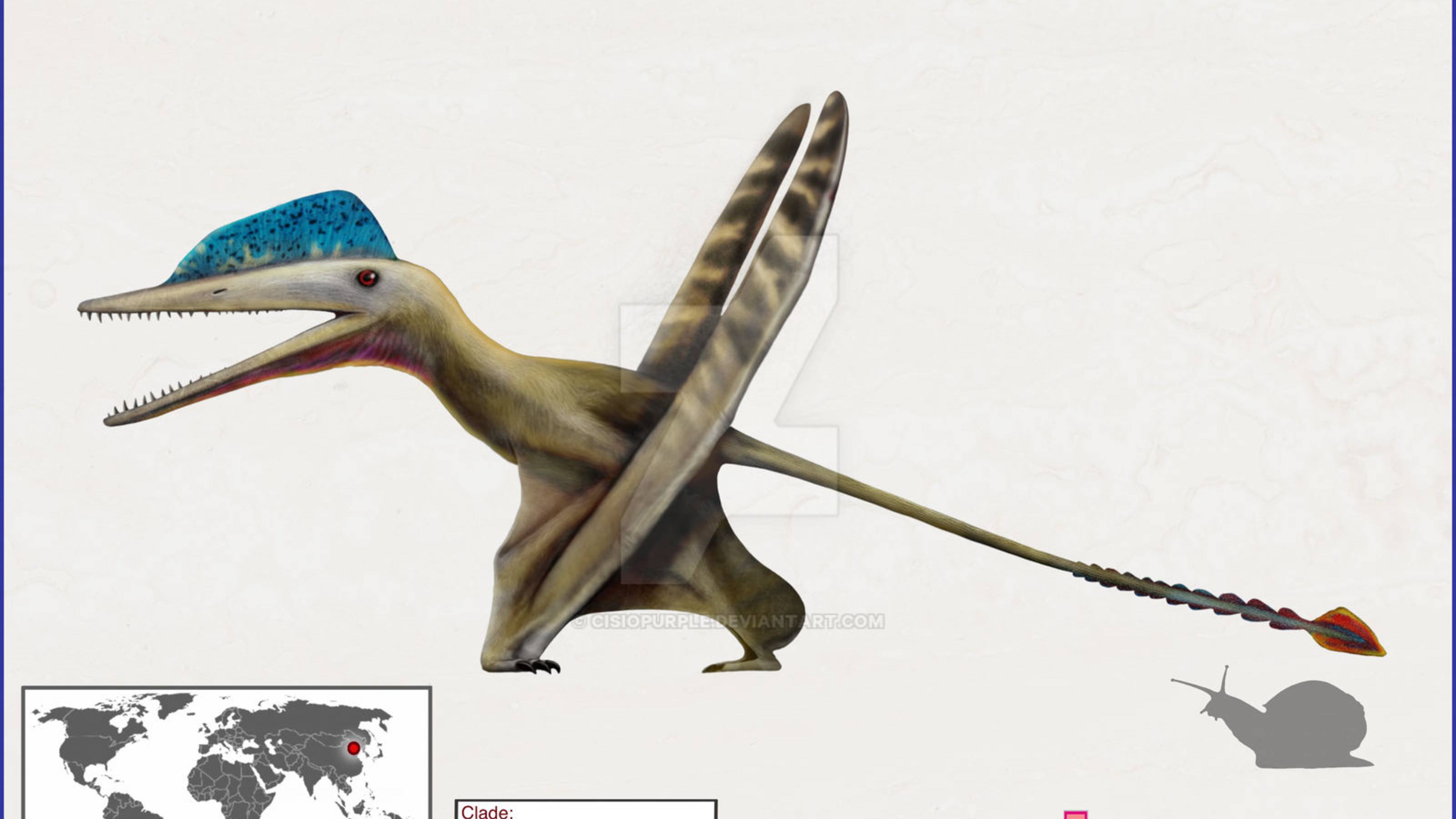 Дарвиноптер — в чëм отличие самок от самцов?