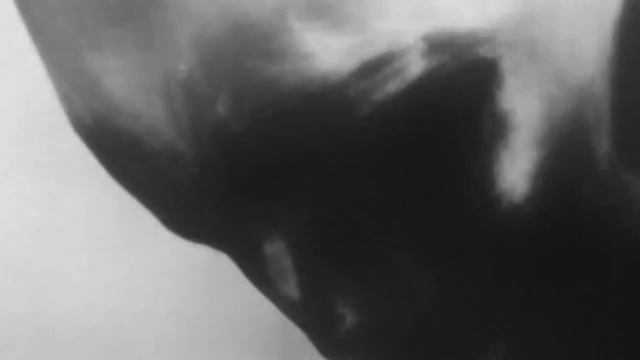 Видео серого пришельца