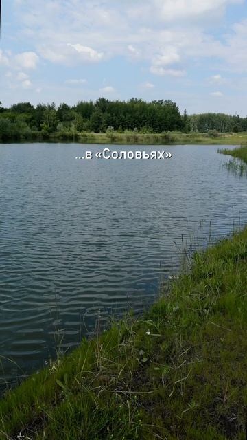 Лето в Соловьях