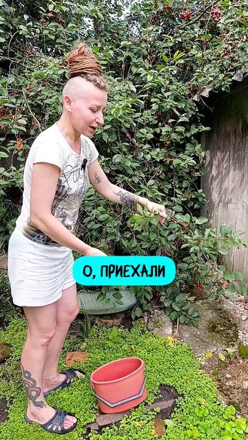 А вы что узялися? 😁😁😁
