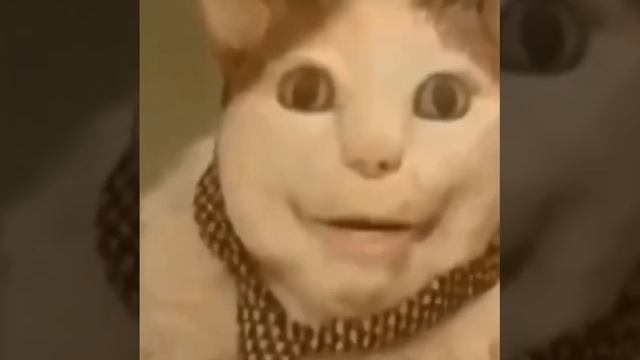 Подписчик испугался?)