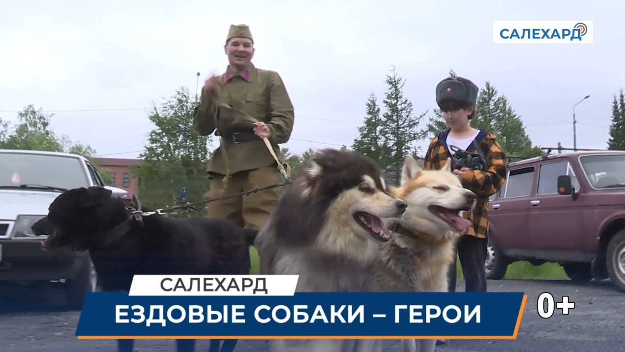 Социальный проект
