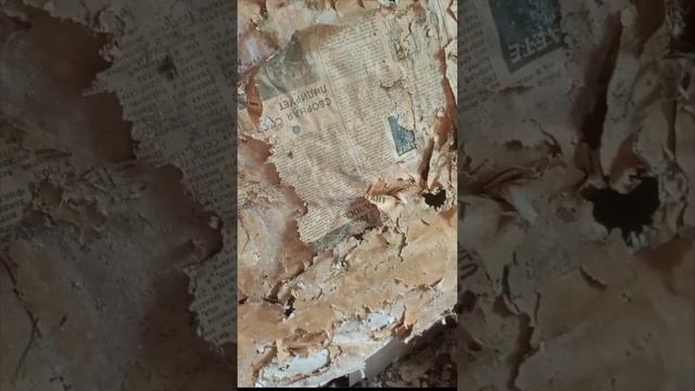 гуляем по заброшенной деревне