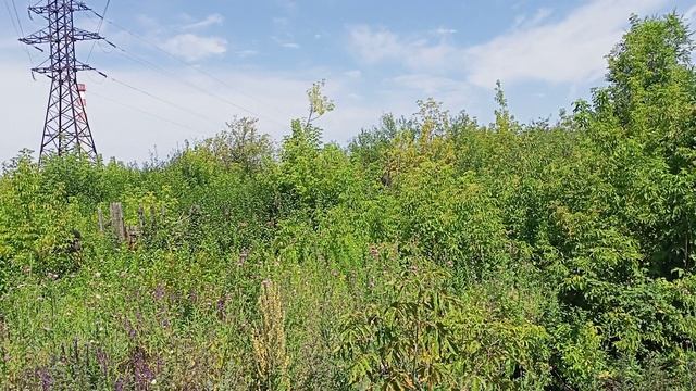 13.07.2025 11:27.mp4
