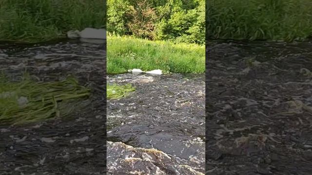 Каньон реки Лава