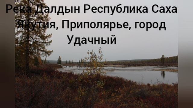 Встреча с Северным Лосем на охоте.