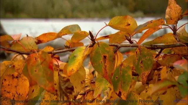 Мелодия, которая делает остановку у придорожного кафе незабываемой - Charmed -- Ketsa -- Metaphysics