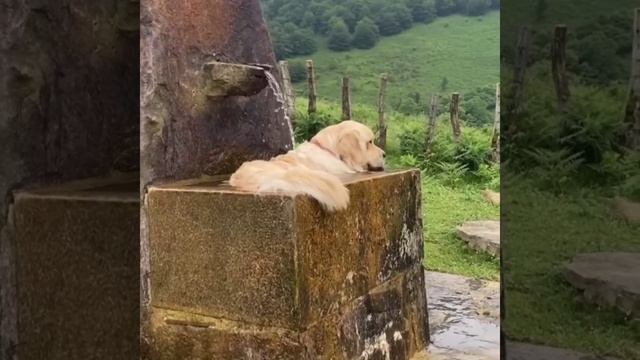 VID_20250714_132353_348.mp4
