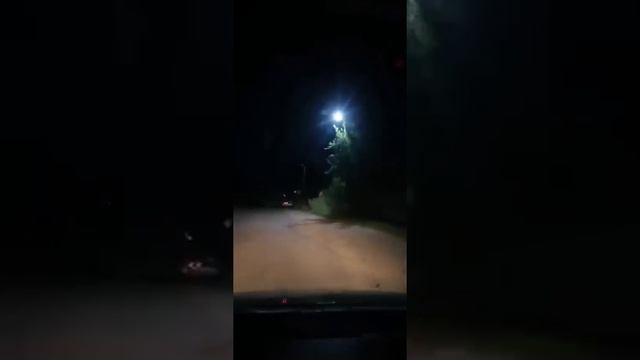 В СОСНОВКЕ СЕГОДНЯ ДИСКОТЕКА: ОСВЕЩЕНИЕ МИГАЕТ, КАК В НОЧНОМ КЛУБЕ