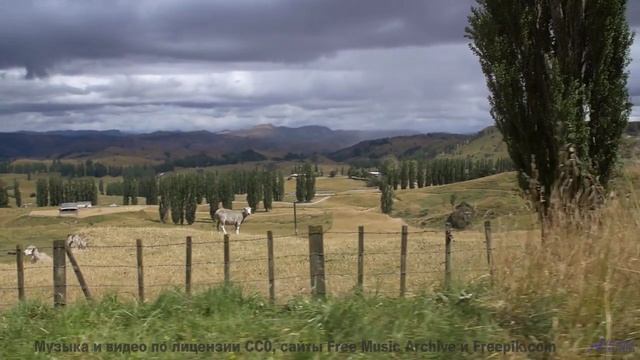 Леса шепчут мелодии прямо в сердце - Souvenir -- Derek Clegg -- Old Town Worry