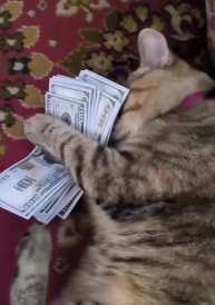 Подпишись 👉 https://vk.com/ykrasheniy_iz_kamny