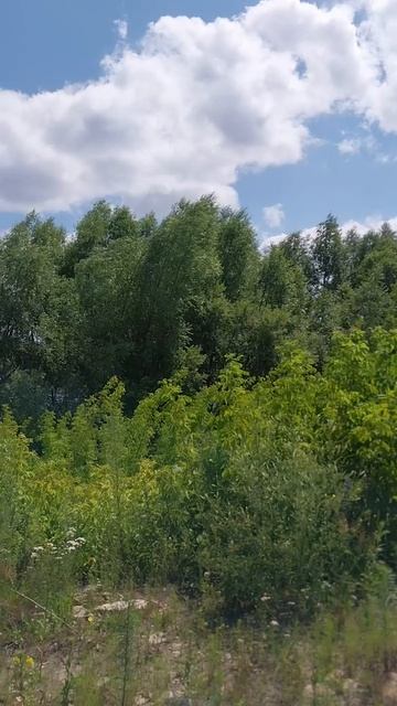 Твоя сила - в твоей независимости