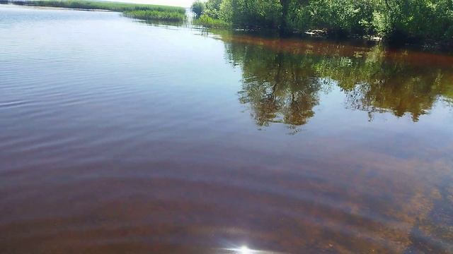 Мини-отпуск на Волге, Рыбинское водохранилище
#svoboda750