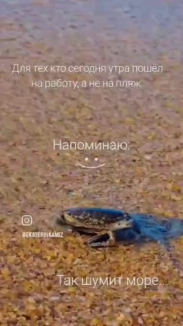 ДЛЯ ТЕХ КТО ХОЧЕТ В ОТПУСК#сезонконтентаRUTUBE