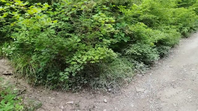 VID_20250620_112402.mp4