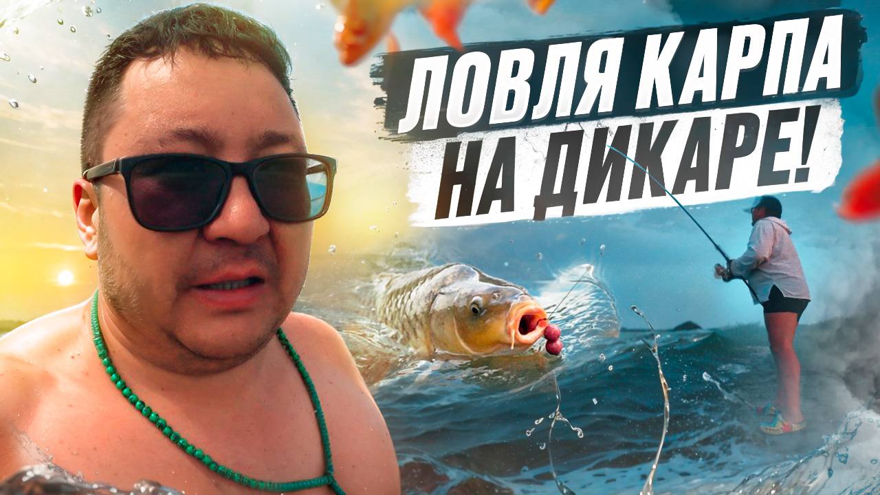 КРУТЕЙШАЯ РЫБАЛКА НА КАРПА. СЕЗОН ШАШЛЫКОВ НЕ ОТКРЫТ. НАСТОЯЩИЙ РАЙ НА ЗЕМЛЕ.