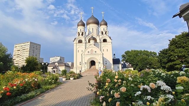 Ландшафтный дизайн своими руками  (13 июля 2025)