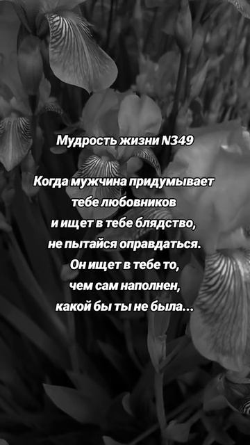 мудрость