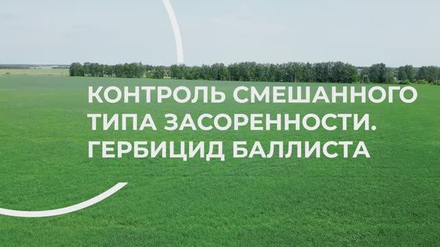 Продолжаем знакомить с результатами испытаний гербицида для защиты зерновых Баллиста, МД