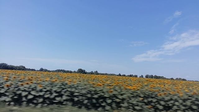 еду на море (в Ейск)