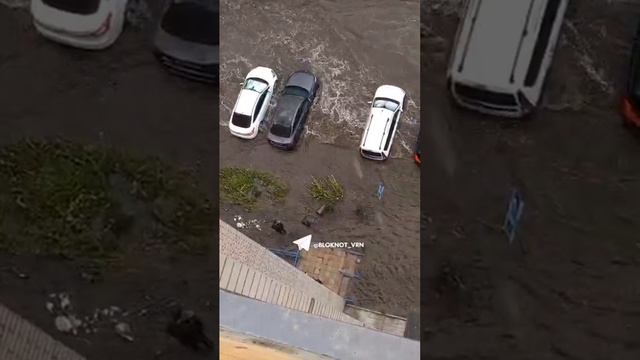 В Воронеже прошёл дождь и город поплыл. 😱