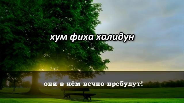 Слушайте Коран "каждое утро" С утра наполняет...