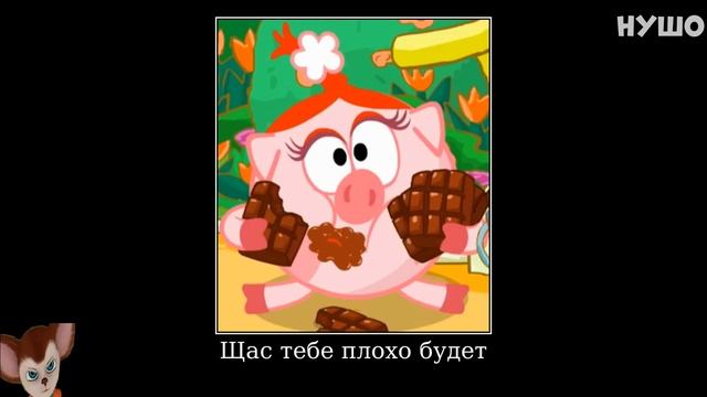 Муд Смешарики демотиватор (Сладкая жизнь)