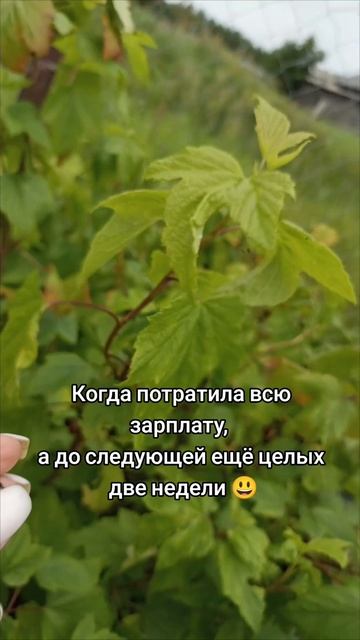 Не рассчитала🤣