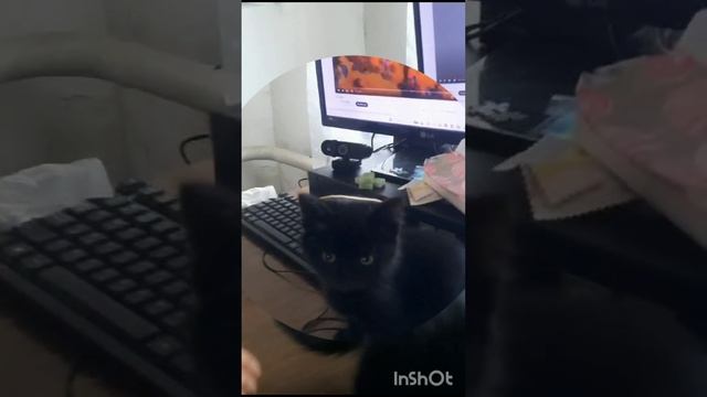 Вдвоем учиться веселее