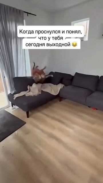 VID_20250714_132423_516.mp4