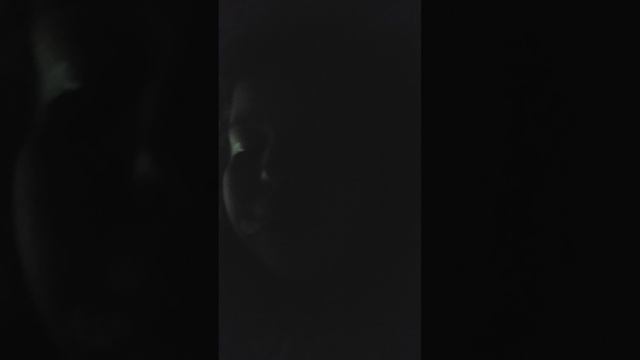 20250714_124011.mp4