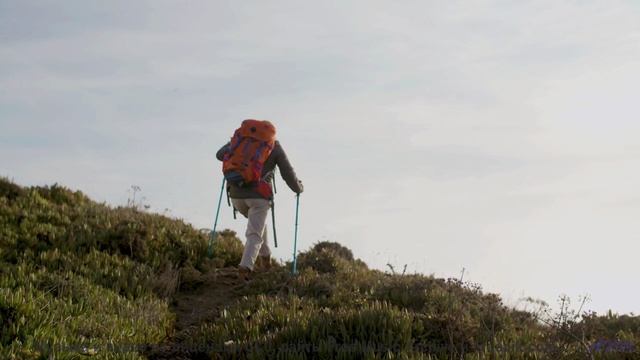 Эта музыка заставит ваше сердце биться чаще - попробуйте не плакать! - Extreme Sport -- Scott Holmes
