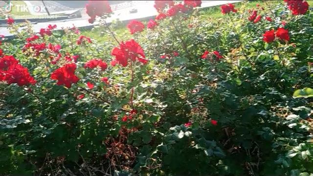 1000003280.mp4
