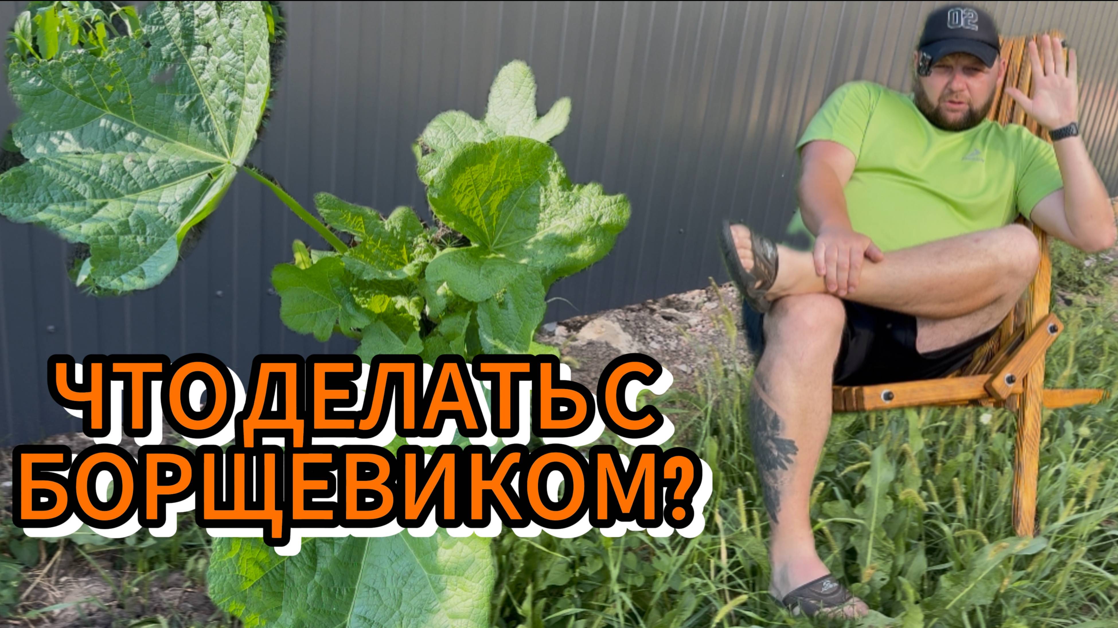 Как избавиться от борщевика? Торнадо, огонь, просто косить?