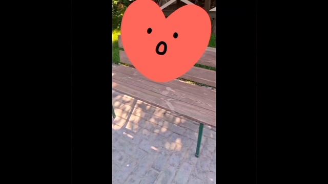 1000028939.mp4 (Собака наблюдает  за подготовкой для купания детских бассейнов у дома А-фрейм)