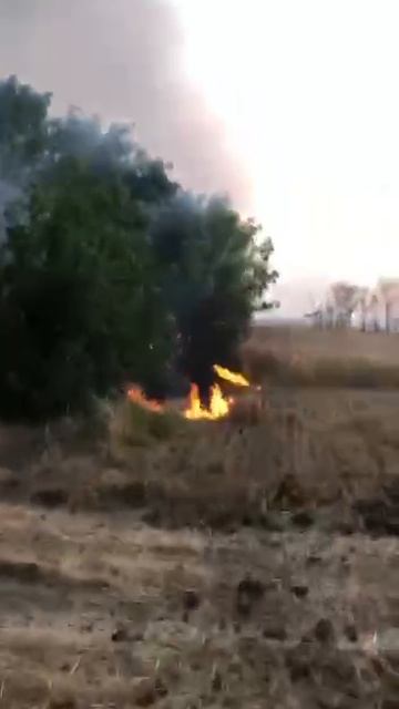 Пожары продолжают бушевать на Ставрополье