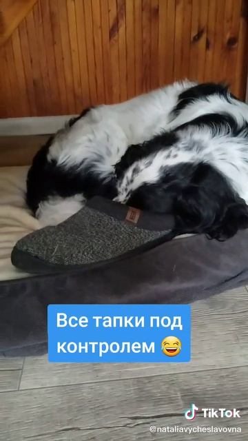 Тапки под контролем...)))