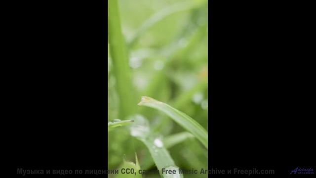 Здесь нет суеты - только красота и совершенный звук! - Acceptance -- Kirk Osamayo -- Season Two (ORA