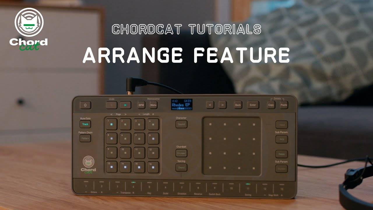 Chordcat Tutorial 07: Arrange Feature