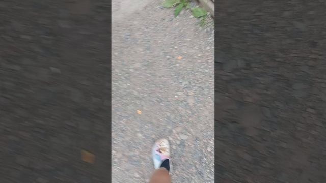 1000028757.mp4